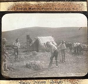 Glass slides of New Zealand scenes