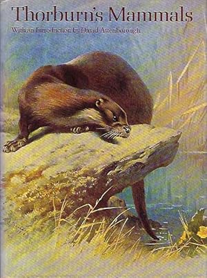 Bild des Verkufers fr Thorburn s Mammals. zum Verkauf von C. Arden (Bookseller) ABA