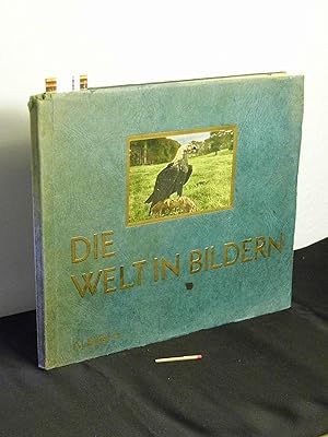 Aus Deutschlands Vogelwelt - Die Welt in Bildern - Album 5 -