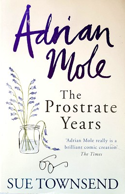 Adrian Mole: The Prostrate Years