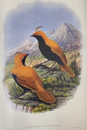 Seller image for Monograph of the Paradiseid or Birds of Paradise and Ptilonorhinchid, or Bower-Birds for sale by Barter Books Ltd