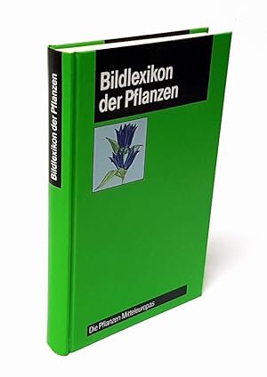 Bild des Verkufers fr Lexikon der Pflanzen. Von der Blaualge zur Samenpflanze. zum Verkauf von Antiquariat Dennis R. Plummer