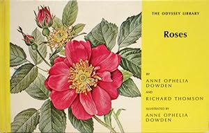 Seller image for Roses. Sprache : Englisch. for sale by Antiquariat Richart Kulbach