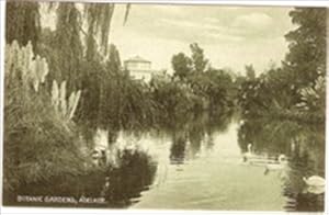 Image du vendeur pour Adelaide Ausralia Postcard Botanic Gardens Vintage View mis en vente par Postcard Anoraks