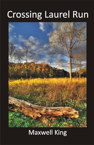 Seller image for Crossing Laurel Run for sale by GreatBookPrices