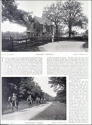 Immagine del venditore per A Polo Stud & the Game of Polo. Several pictures and accompanying text, removed from an original issue of Country Life Magazine, 1897. venduto da Cosmo Books