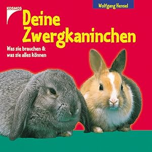 Deine Zwergkaninchen: Was sie brauchen & was sie alles können