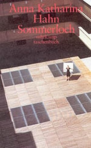 Immagine del venditore per Sommerloch: Erzhlungen (suhrkamp taschenbuch) venduto da Antiquariat Buchhandel Daniel Viertel