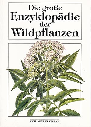 Die große Enzyklopädie der Wildpflanzen