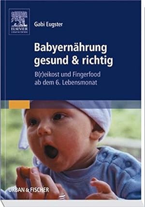 Seller image for Babyernhrung gesund & richtig: B(r)eikost und Fingerfood ab dem 6. Lebensmonat for sale by Antiquariat Buchhandel Daniel Viertel