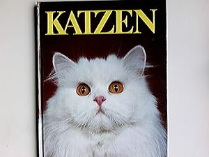 Katzen