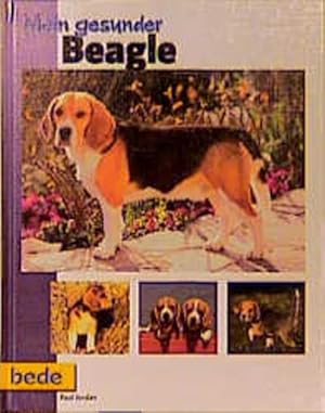 Mein gesunder Beagle