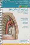 Bild des Verkufers fr PROMETHEUS. Atlas de Anatoma.Fichas de autoevaluacin: rganos internos zum Verkauf von Agapea Libros