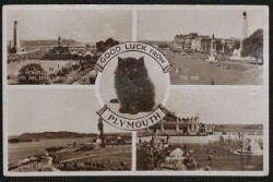 Plymouth Devon Postcard Lucky Black Cat Series Real Photo