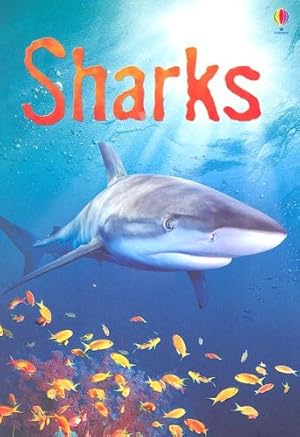Image du vendeur pour Sharks (Usborne Beginners) mis en vente par Reliant Bookstore