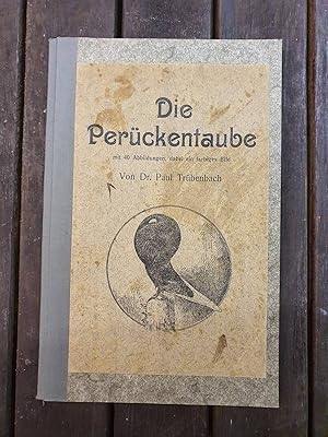 Die Perückentaube