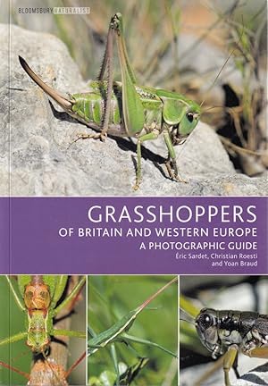 Imagen del vendedor de GRASSHOPPERS OF BRITAIN AND WESTERN EUROPE: A PHOTOGRAPHIC GUIDE. By Eric Sardet, Christian Roesti and Yoan Braud. a la venta por Coch-y-Bonddu Books Ltd