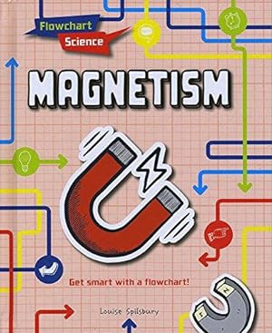 Bild des Verkufers fr Flowchart Science: Magnetism zum Verkauf von WeBuyBooks