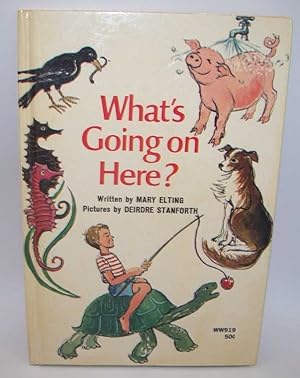 Seller image for What's Going on Here? for sale by Easy Chair Books