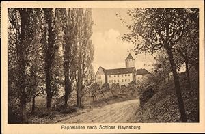 Bild des Verkufers fr Ansichtskarte / Postkarte Haynsburg Wetterzeube Burgenlandkreis, Pappelallee, Schloss Haynsburg zum Verkauf von akpool GmbH