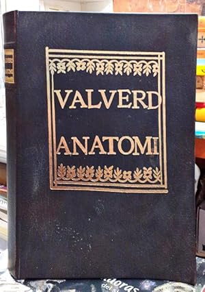 Imagen del vendedor de Valverd Anatomi ? Historia dell?Anatomia ? Facsimil a la venta por Paraso Lector