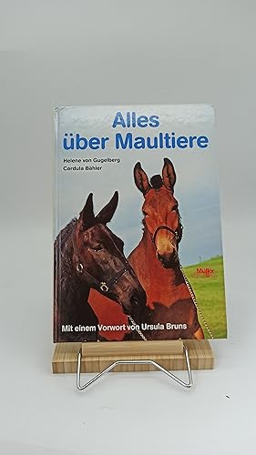 Alles über Maultiere