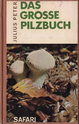 Das große Pilzbuch