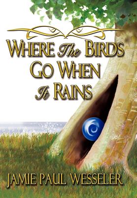 Seller image for Where The Birds Go When It Rains (Hardback or Cased Book) for sale by BargainBookStores