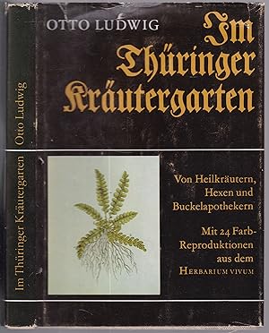 Im Thüringer Kräutergarten Von Heilkräutern, Hexen und Buckelapothekern.