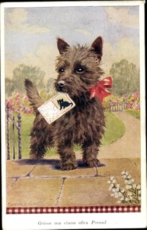 Bild des Verkufers fr Knstler Ansichtskarte / Postkarte Valter, F. E., Hund mit Postkarte im Maul, Katze, Gre von einem alten Freund zum Verkauf von akpool GmbH