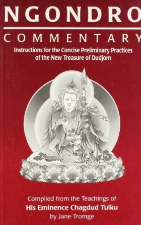 Seller image for NOGORO. COMMENTARY. Instructions for the Concise Preliminary Practices of the New Treasure of Dudjom. Compiled from the Teachings of His Eminence Chagdud Tulku by jane Tromge. for sale by Librera y Editorial Renacimiento, S.A.