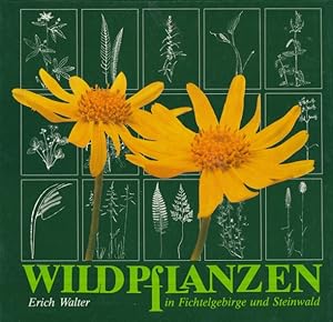 Bild des Verkufers fr Wildpflanzen in Fichtelgebirge und Steinwald. zum Verkauf von ANTIQUARIAT ERDLEN