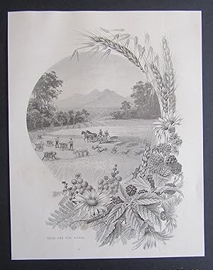 Image du vendeur pour Near the You Yangs (Victoria) (1887) mis en vente par Waimakariri Books and Prints Limited