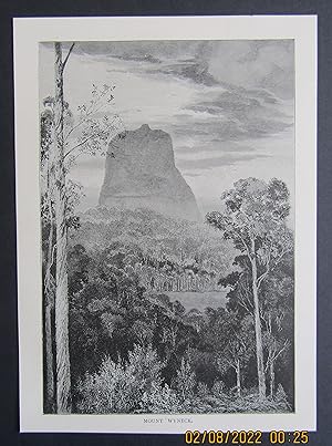 Seller image for Mount Wyneck (Queensland) (1887) for sale by Waimakariri Books and Prints Limited