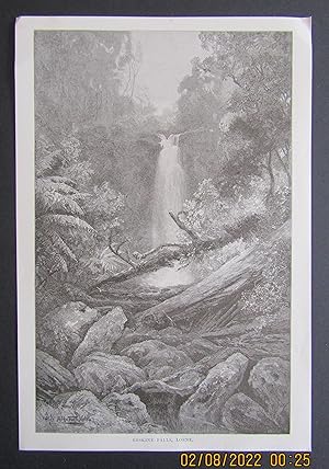 Seller image for Erskine Falls, Lorne (Victoria) (1887) for sale by Waimakariri Books and Prints Limited