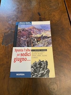 Spunta l'alba del sedici giugno. La Grande guerra su Monte Nero, Monte Rosso, Vrata, Ursic, Sleme...