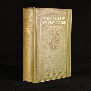 Bild des Verkufers fr Animal Life Under Water zum Verkauf von Rooke Books PBFA