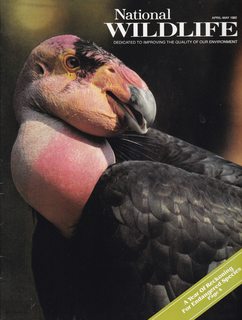 National Wildlife Magazine April / May 1982