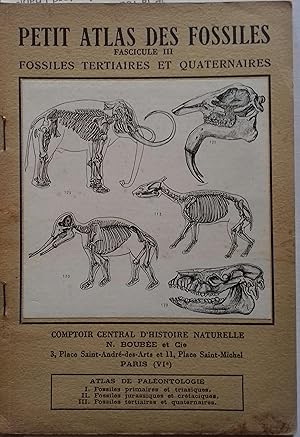 Seller image for Petit atlas des fossiles. Fascicule III : Fossiles tertiaires et quaternaires. for sale by Librairie Et Ctera (et caetera) - Sophie Rosire