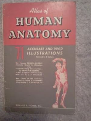 Seller image for Atlas of Human Anatomy for sale by Redux Books