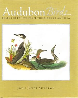 Bild des Verkufers fr AUDUBON BIRDS Selected Prints from the Birds of America zum Verkauf von Z-A LLC