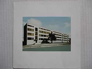 Seller image for Thomas Ruff l.m.v.d.r. Zwirner & Wirth 2001 Exhibition invite postcard for sale by ANARTIST
