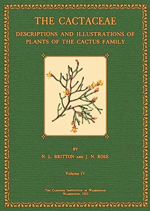 Bild des Verkufers fr The Cactaceae - 4 zum Verkauf von Antiquariat  Fines Mundi