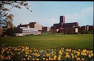 Seller image for Guildford University Postcard And Cathedral for sale by Postcard Anoraks