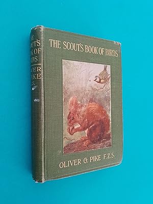 The Scout's Book of Birds