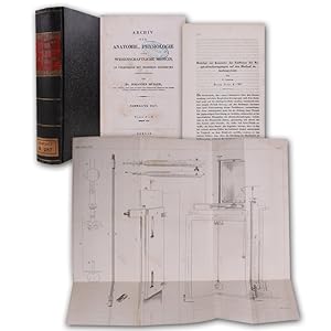 Imagen del vendedor de Beitrge zur Kenntniss des Einflusses der Respirationsbewegungen auf den Blutlauf im Aortensysteme. SS. (242)-302 mit 5 gefalteten Tafeln. In: Archiv fr Anatomie, Physiologie. Hrsg. Joh. Mller. Jg. 1847. a la venta por Antiquariat Gerhard Gruber