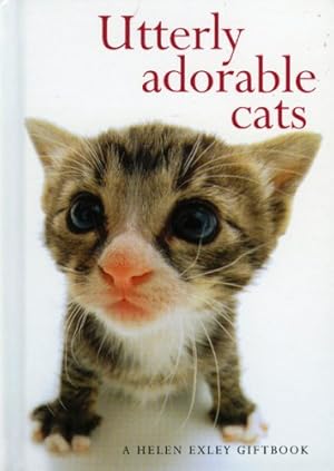 Seller image for Utterly Adorable Cats (Hanadeka) (Hanadeka S.) for sale by M.Roberts - Books And ??????