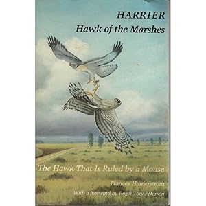 Seller image for Harrier, Hawk of the Marshes: The Hawk That Is Ruled by a Mouse for sale by Buteo Books