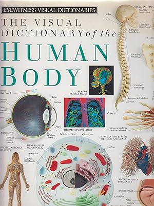 Bild des Verkufers fr Eyewitness Visual Dictionaries: The Visual Dictionary of the Human Body (DK Visual Dictionaries) zum Verkauf von Robinson Street Books, IOBA
