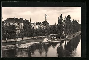 Ansichtskarte Alsleben /Saale, Blick von der Saalebrücke